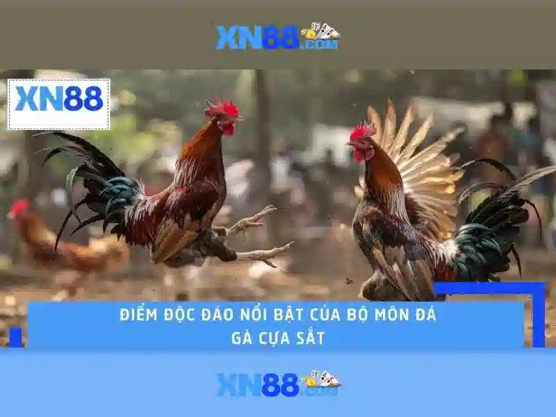 Về xn88: Nền tảng giải trí trực tuyến và cá cược
