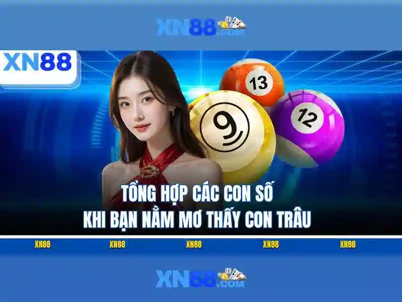 xn88: Tổng quan về nền tảng cá cược trực tuyến