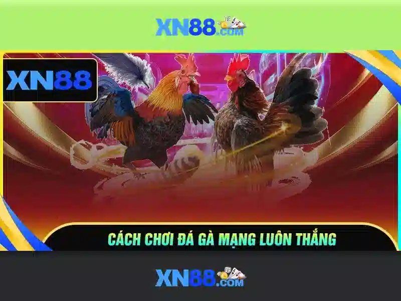 xn88-xn88: Khám phá thương hiệu và trải nghiệm xn88-xn88