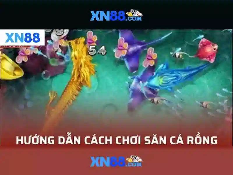 XN88: Tổng quan về nền tảng cá cược trực tuyến