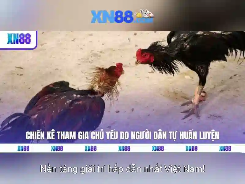 xn88: Nền tảng cá cược trực tuyến và những điều bạn cần biết