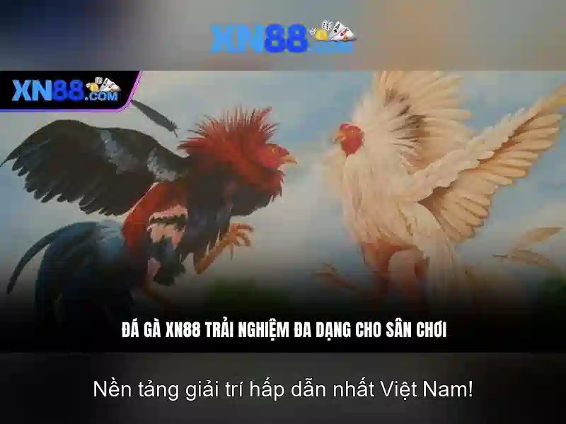 xn88: Giới thiệu nền tảng chơi trực tuyến