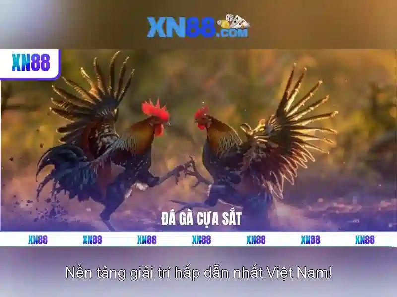 xn88: Nền tảng giải trí trực tuyến và trải nghiệm người dùng