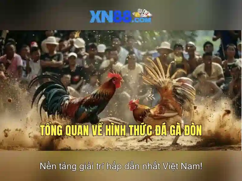 xn88 - Nền tảng trò chơi trực tuyến và giải trí