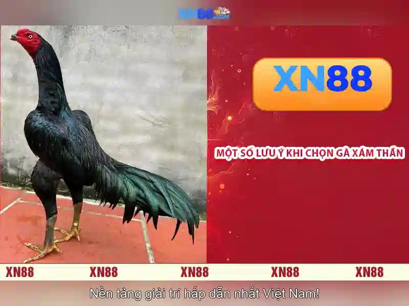 xn88 - Đánh giá tổng quan, tính năng và hướng dẫn sử dụng
