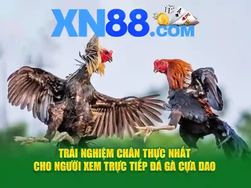 Doi ngu ho tro khach hang giai quyet su co rut tien